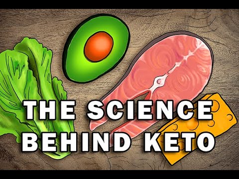 THE KETO DIET – EXPLAINED WITH SCIENCE