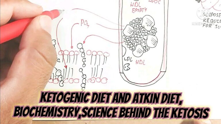 ketogenic diet and atkin diet, biochemistry,science behind the ketosis,fat maximise in diet. biology