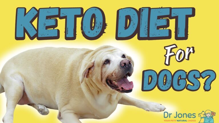 Keto Diet for Dogs?