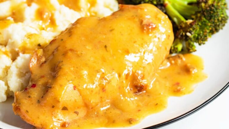 Paleo Diet Recipes – Slow Cooker Chicken And Gravy Recipe